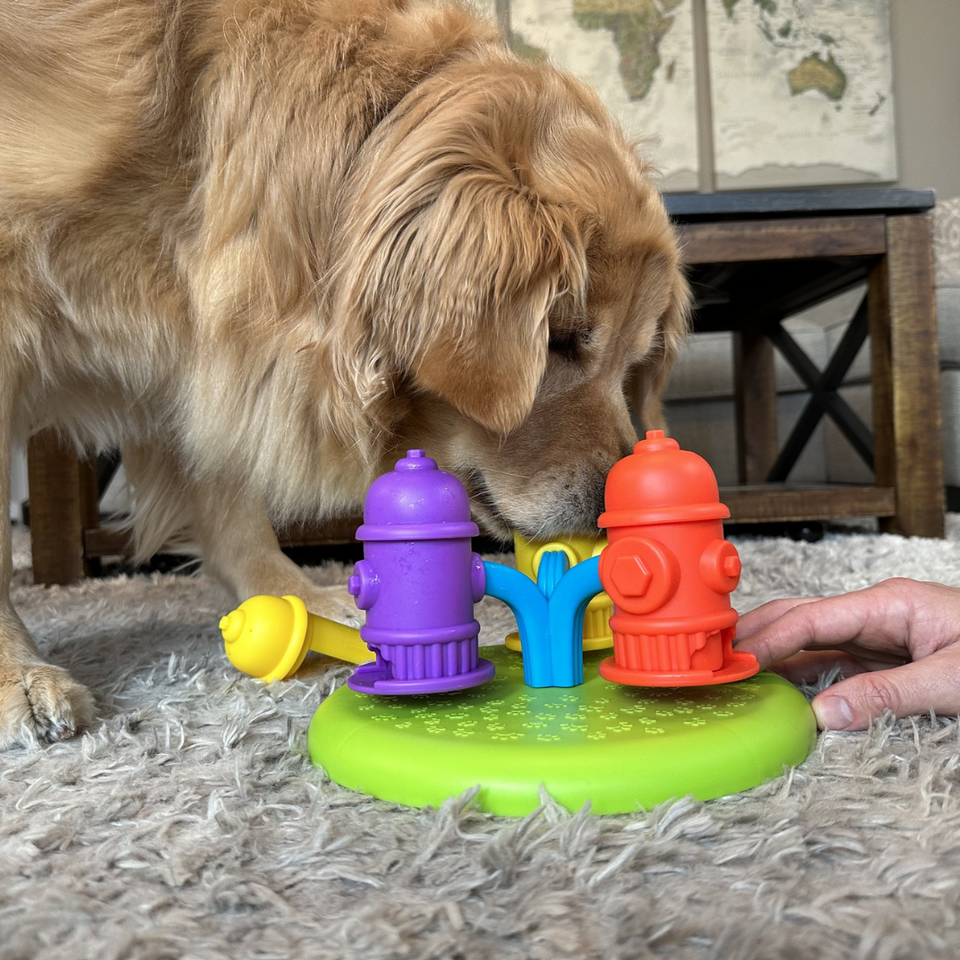 Toys & Enrichment