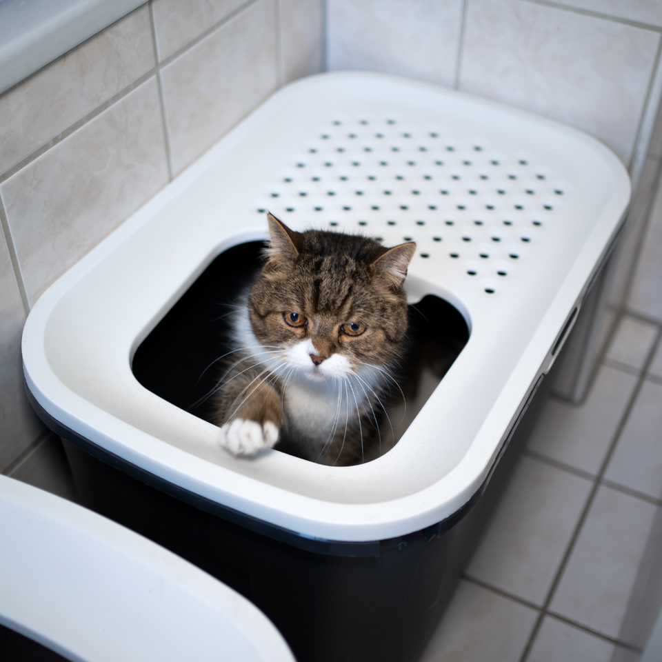 Litter & Waste Management
