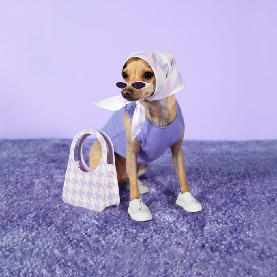 Pet Apparel & Accessories