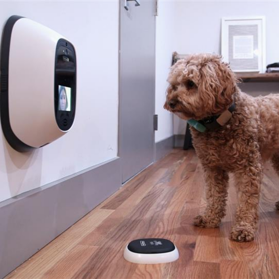 Smart Pet Products