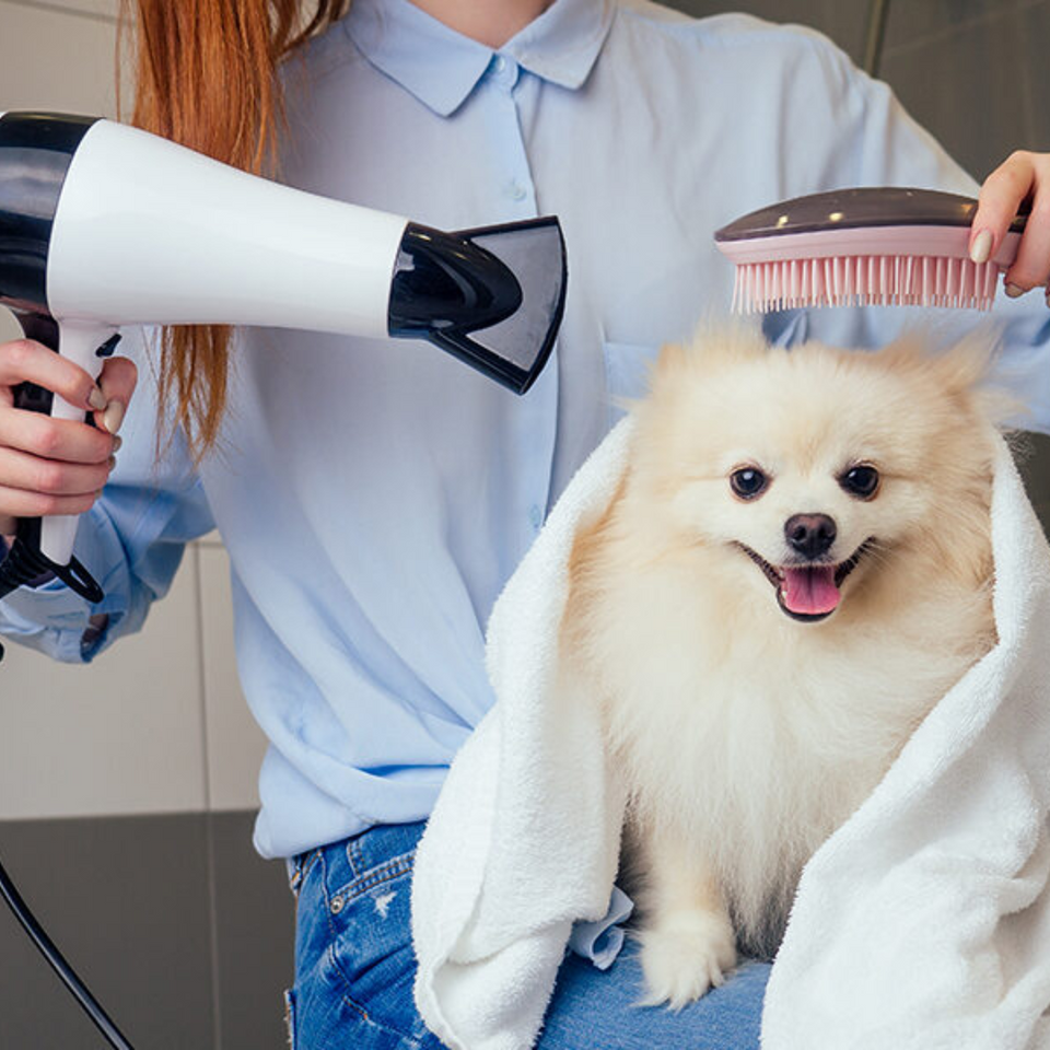 Grooming & Hygeine