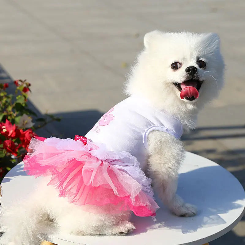 Spring Dog Lace Dress