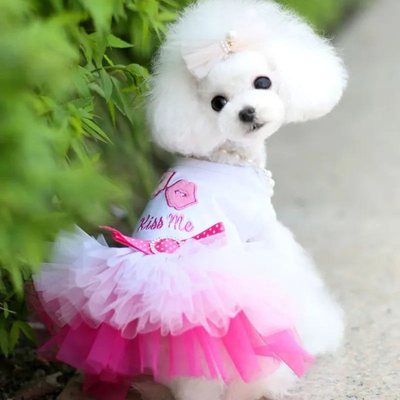 Spring Dog Lace Dress