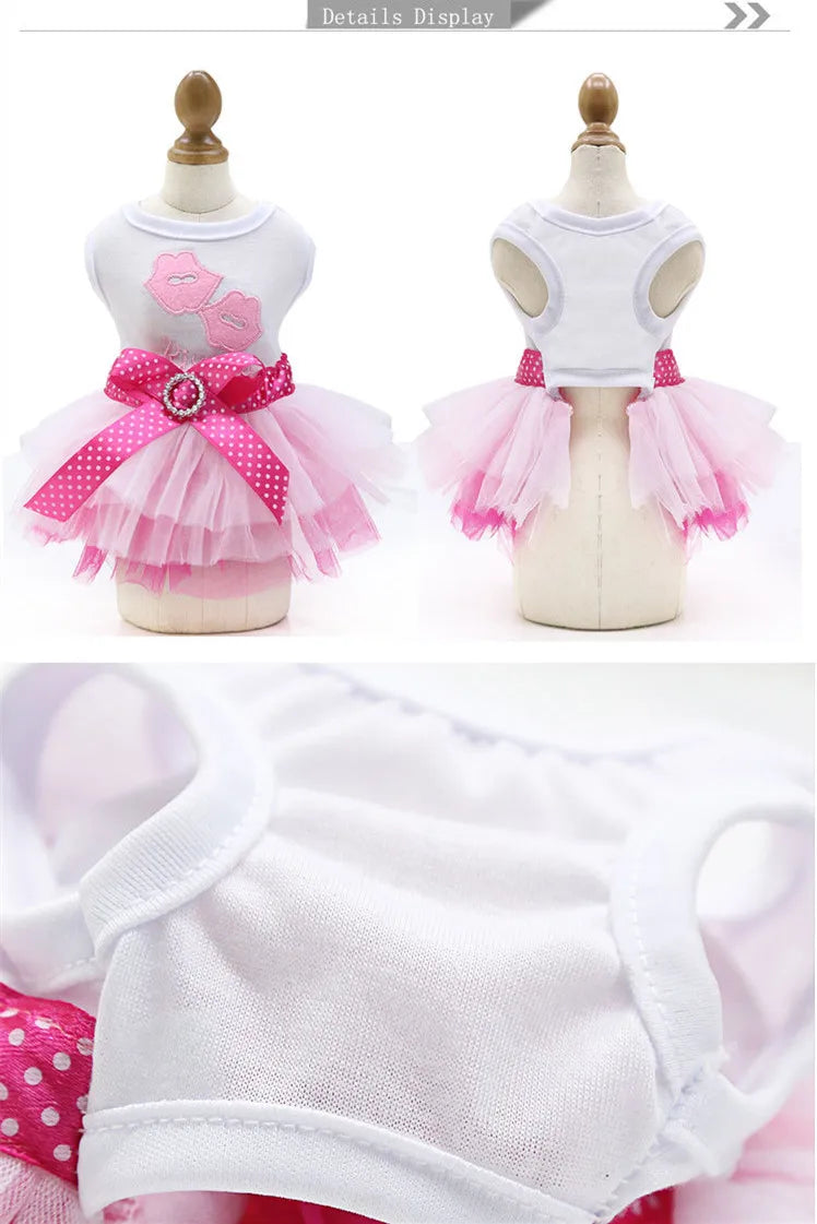 Spring Dog Lace Dress