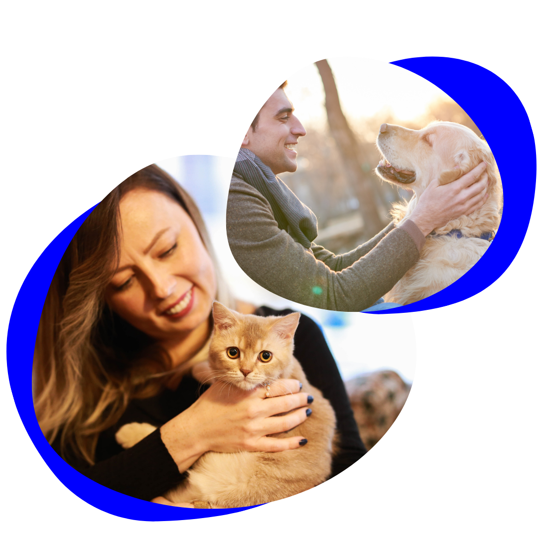 Everything Your Pet Deserves