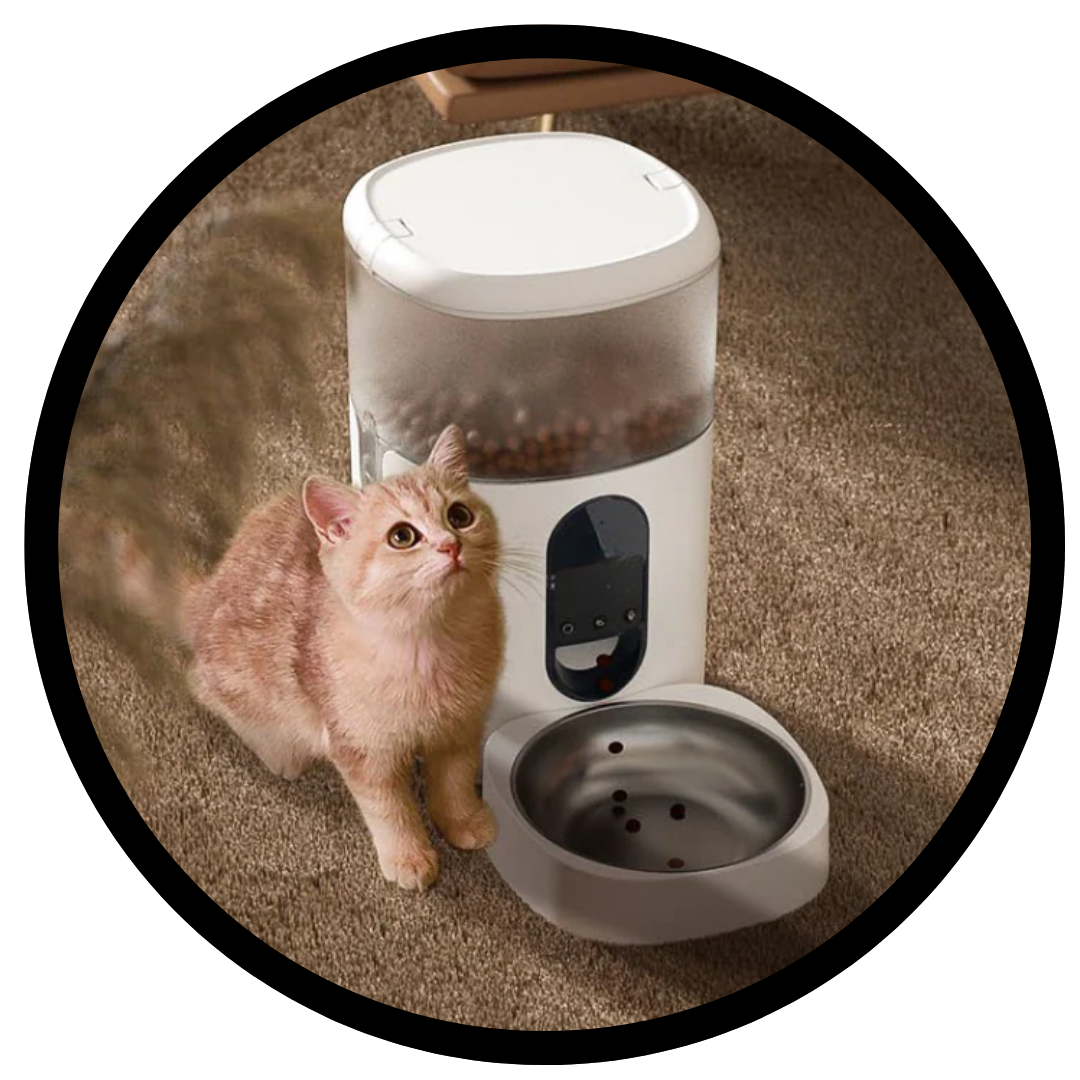 SMART SOLUTIONS FOR HAPPY PET LIVING