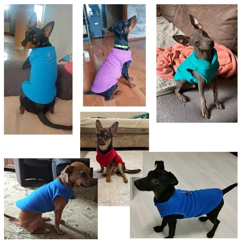 Warm Fleece Dog Jacket with D-Ring