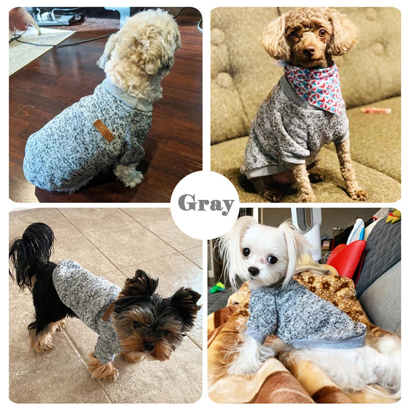Winter Dog Jacket