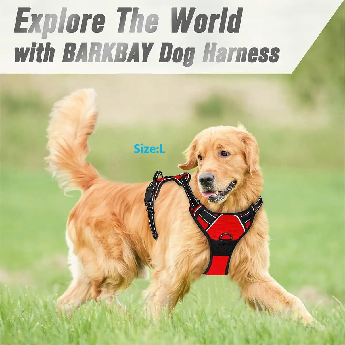 No-Pull Dog Harness – Front Clip, Heavy-Duty, Reflective with Easy Control Handle