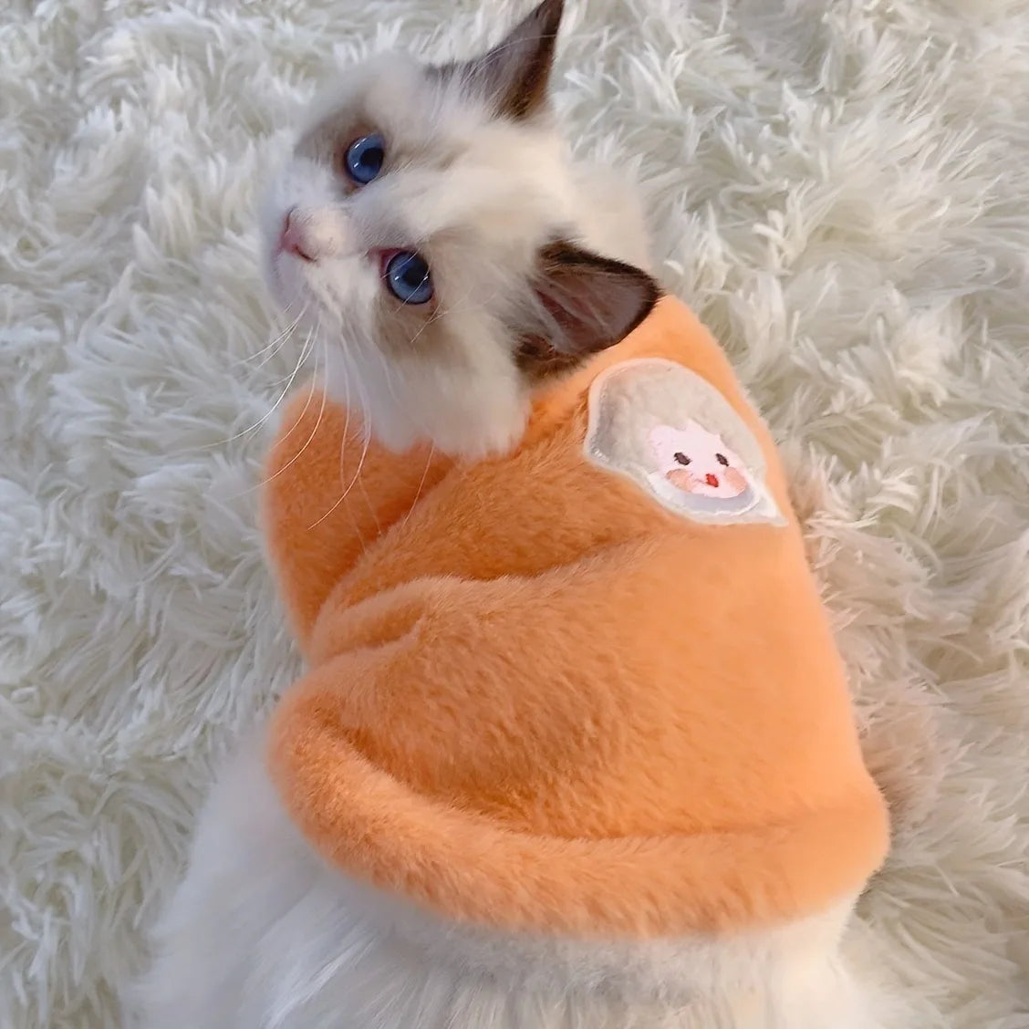 Winter Kitten Clothes