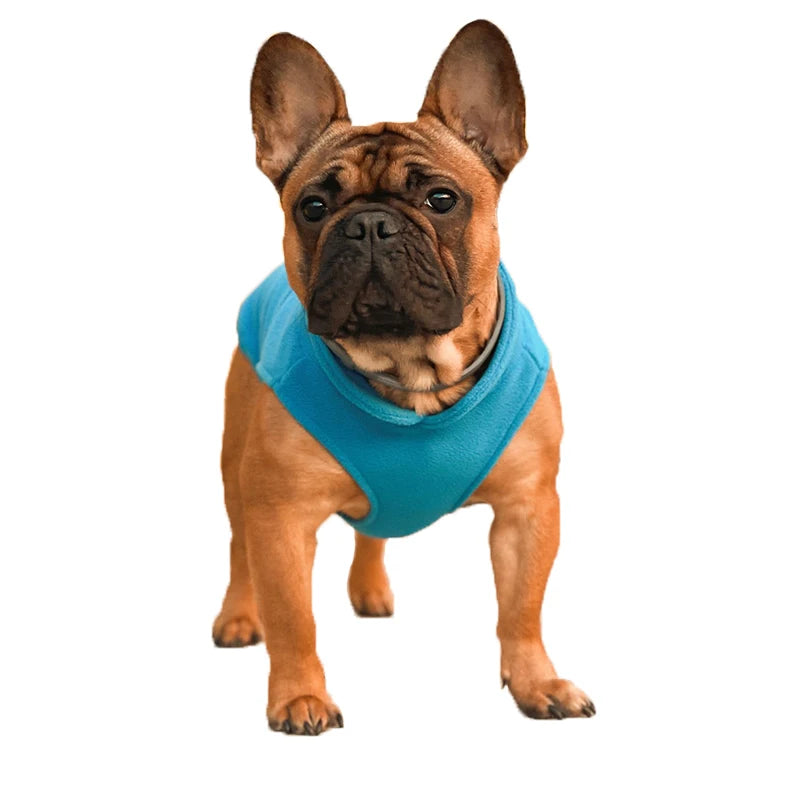 Warm Fleece Dog Jacket with D-Ring