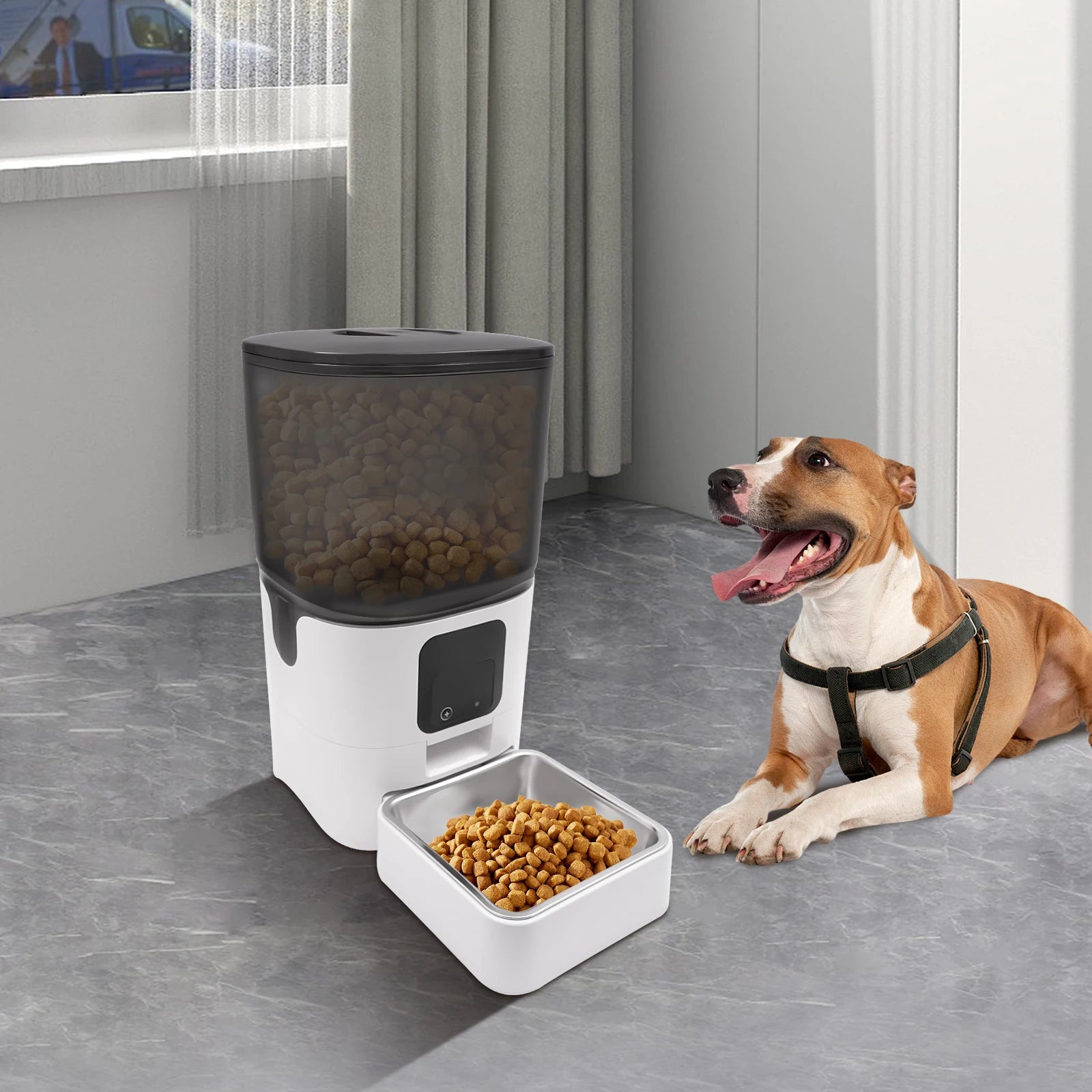 6L Smart Automatic Pet Feeder