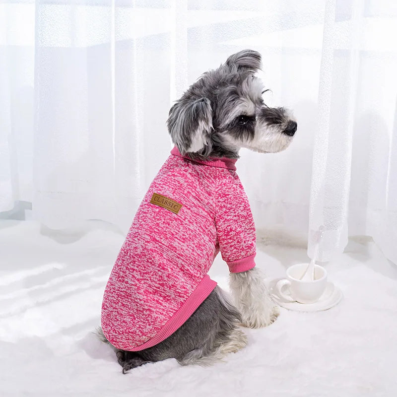 Winter Dog Jacket