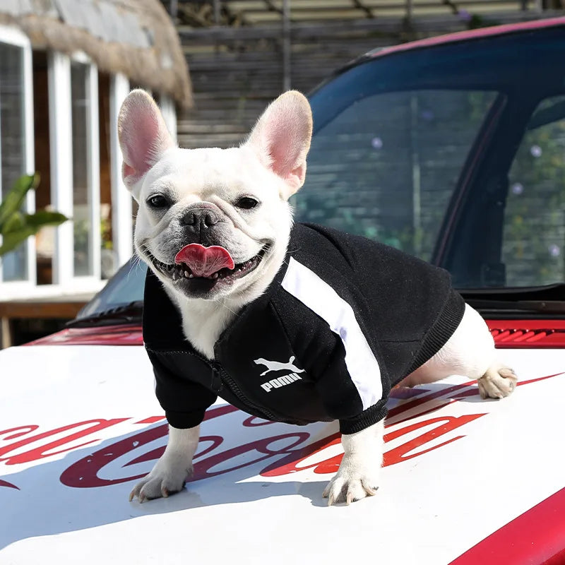 Baseball Dog Jacket Winter Dog Clothes