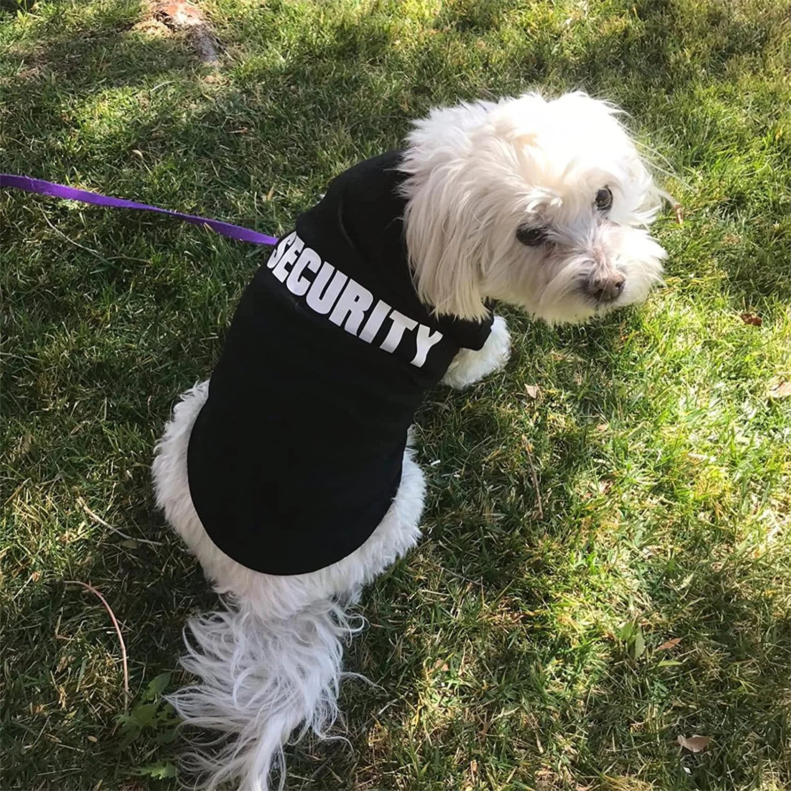 Summer Pet Vest