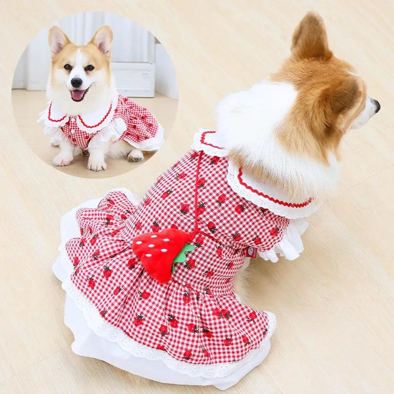 Strawberry Dog Dress