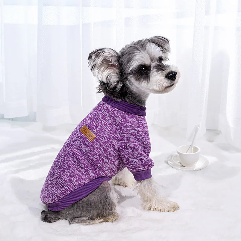 Winter Dog Jacket
