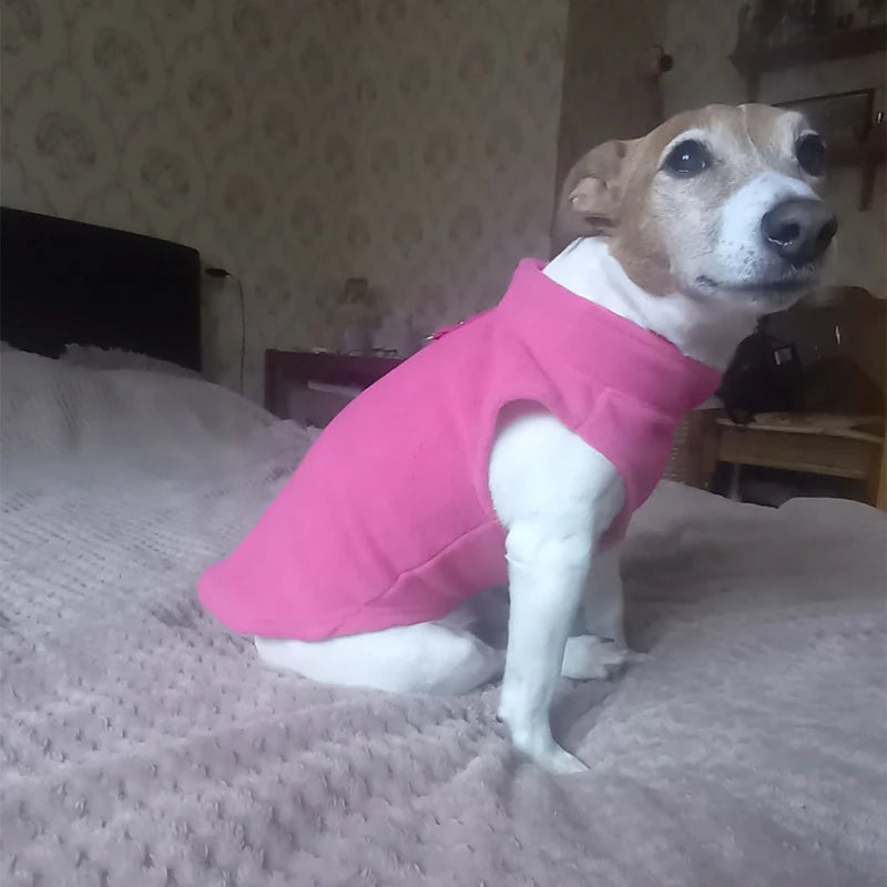 Warm Fleece Dog Jacket with D-Ring