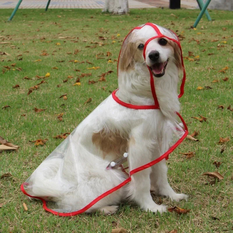 Transparent Dog Raincoat