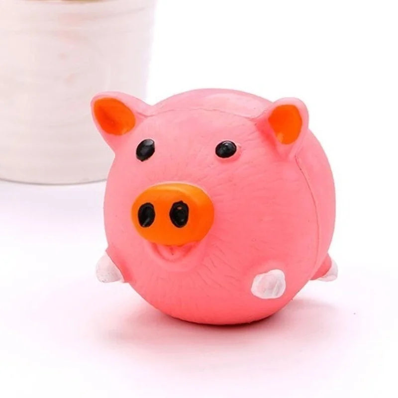 Pet Dog Squeaky Toy