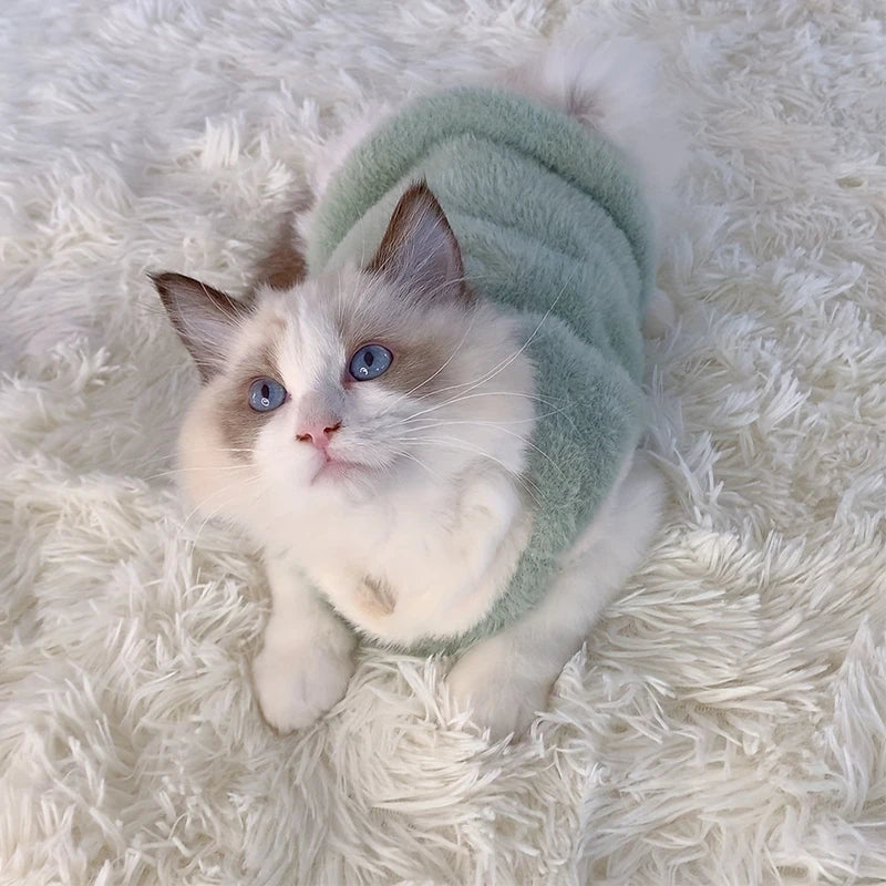 Winter Kitten Clothes