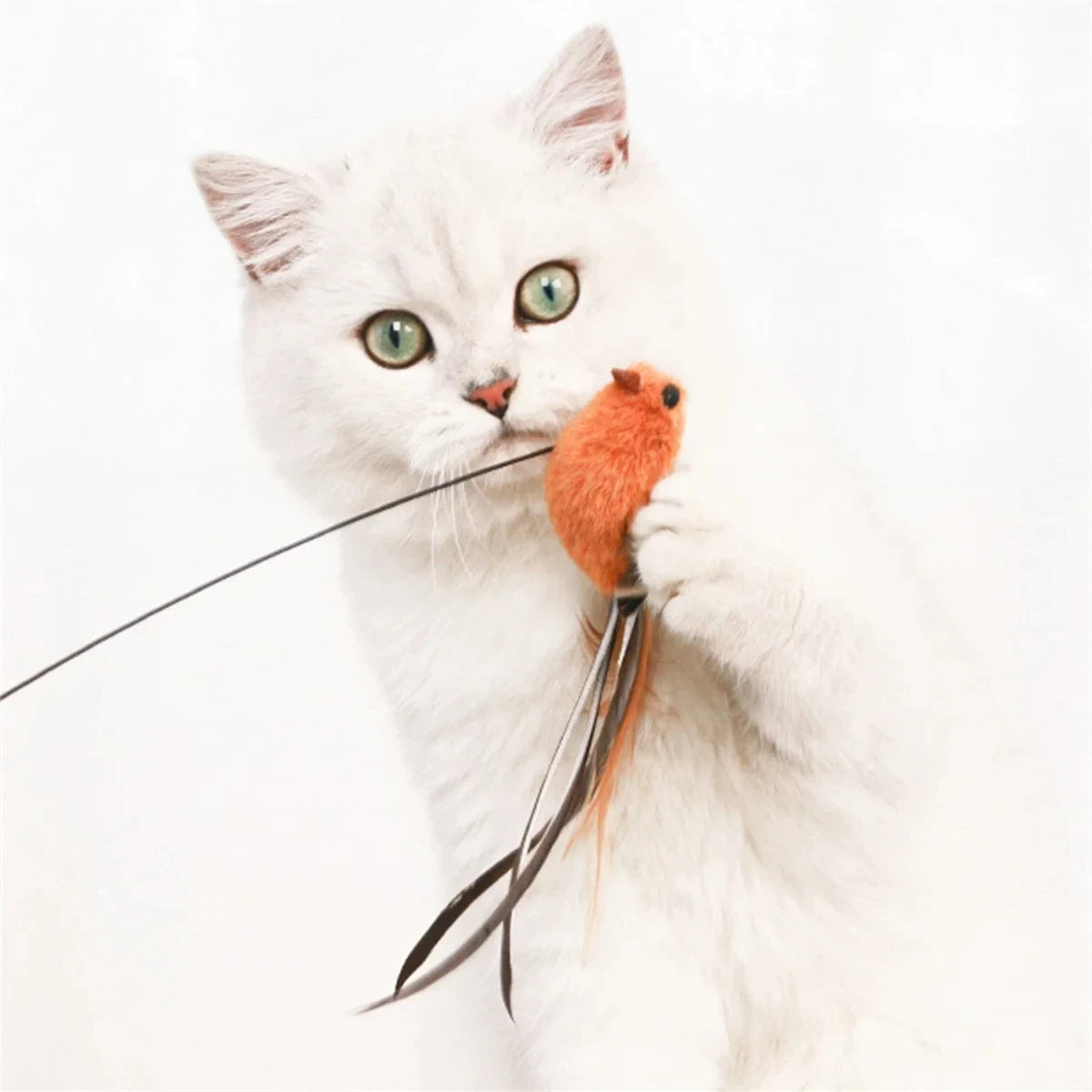 Simulated Bird Cat Toys – Upgraded Epoxy Sucker with Steel Wire Long Rod & Feather Teasing Stick