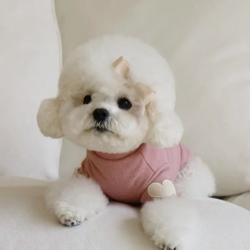 Love Bear Winter Hoodie for Pets