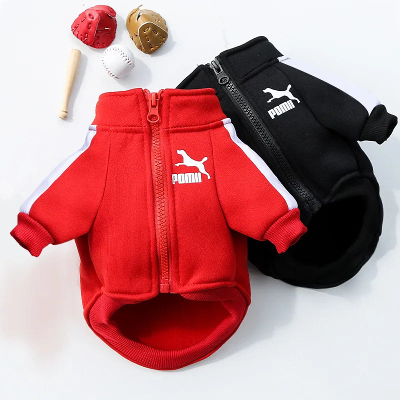 Baseball Dog Jacket Winter Dog Clothes