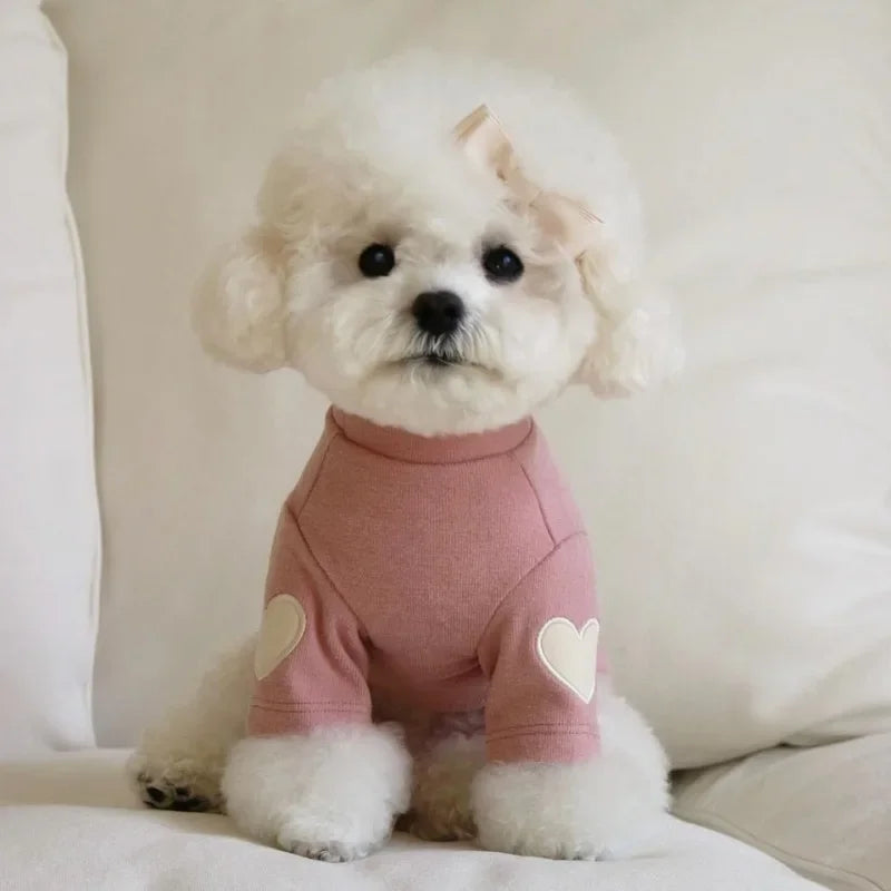Love Bear Winter Hoodie for Pets