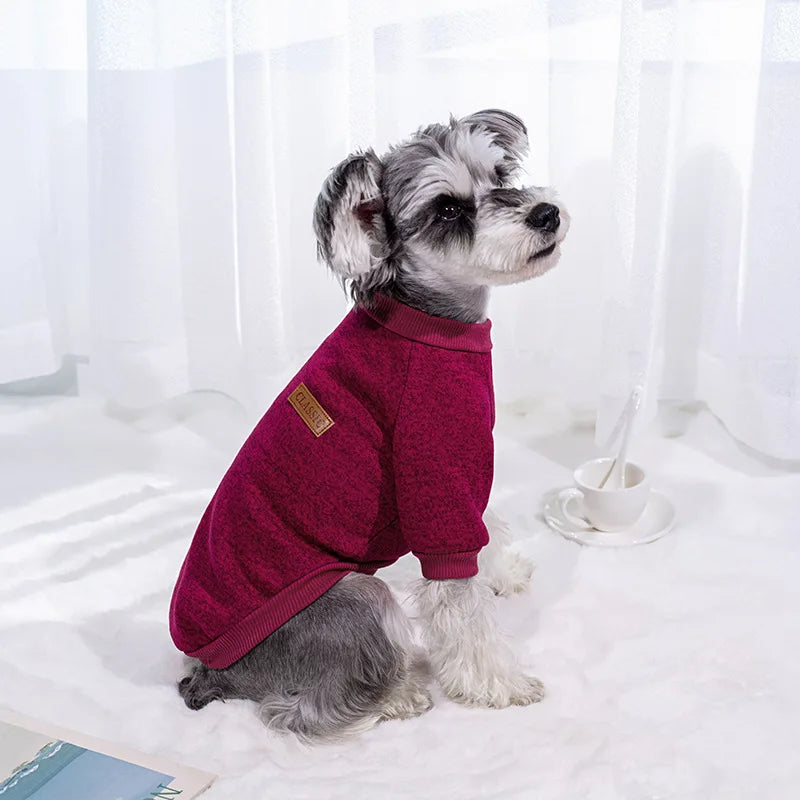 Winter Dog Jacket
