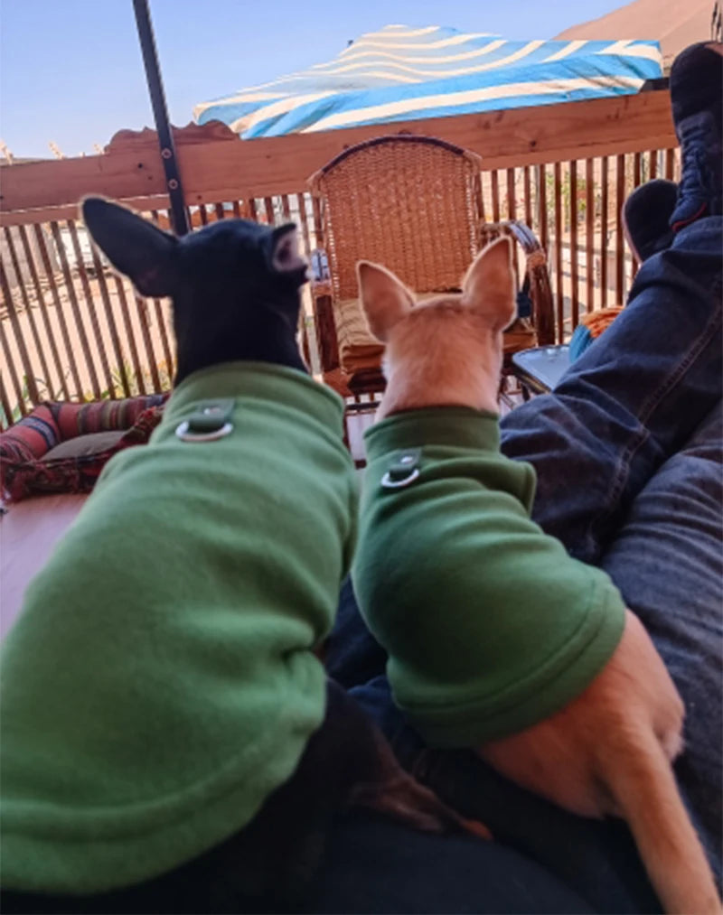 Warm Fleece Dog Jacket with D-Ring