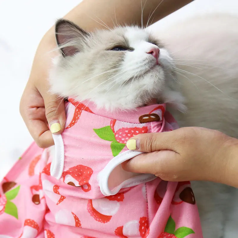 Cat & Dog Surgery Recovery Suit – Anti-Licking Sterilization Clothes