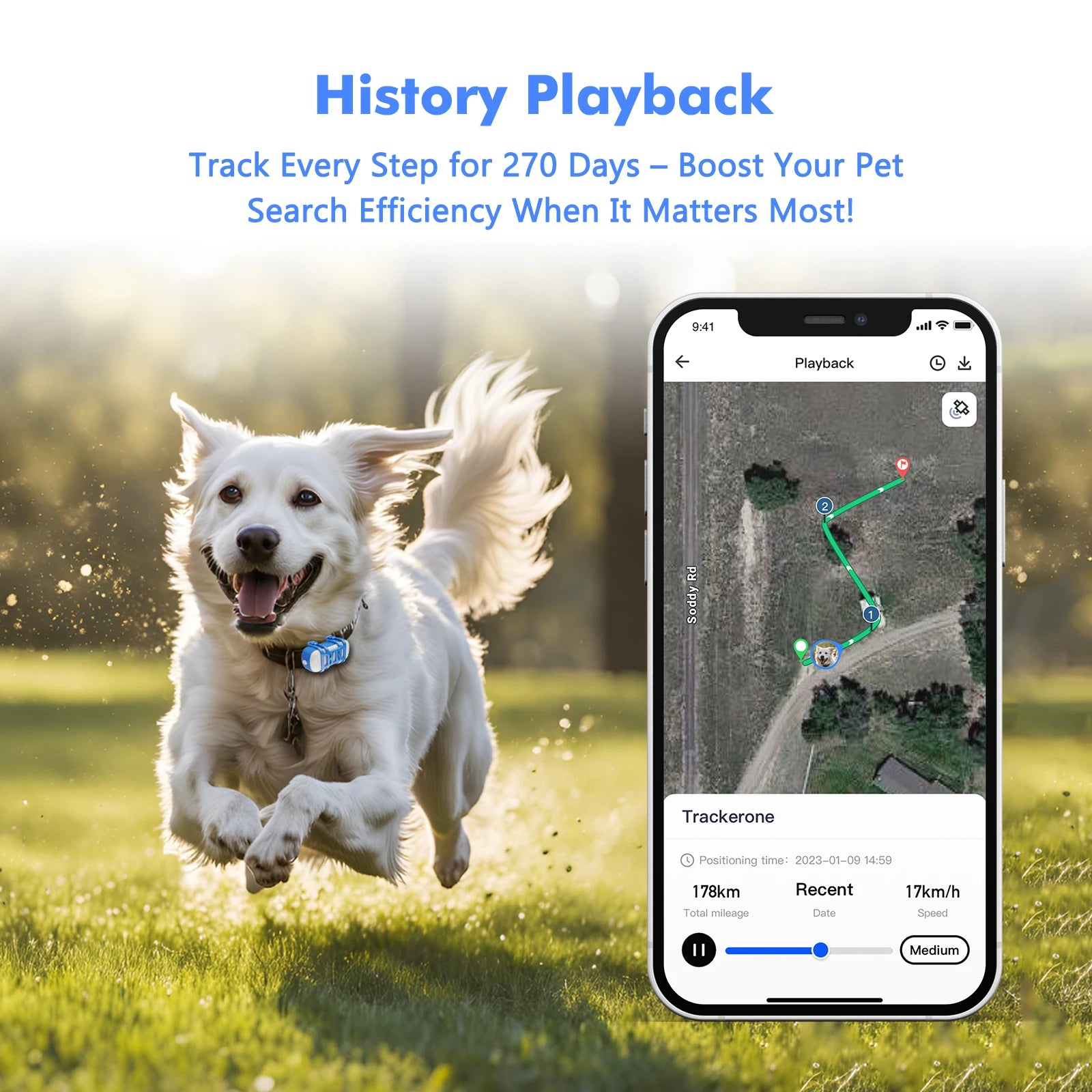 4G GPS Pet Tracker