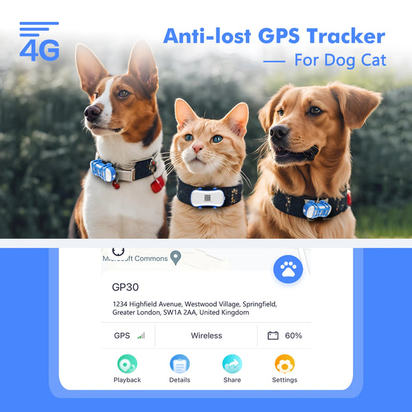 4G GPS Pet Tracker