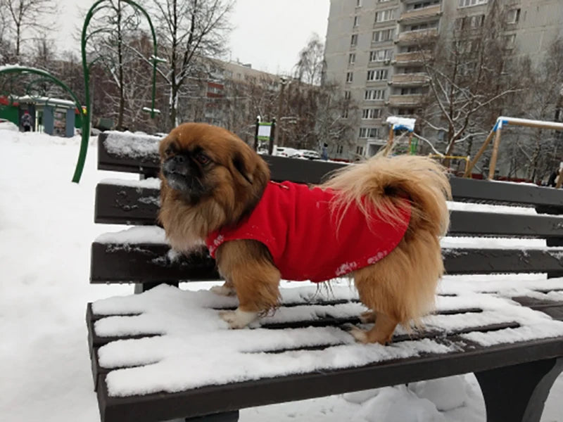 Warm Fleece Dog Jacket with D-Ring