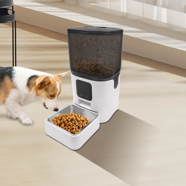 6L Smart Automatic Pet Feeder