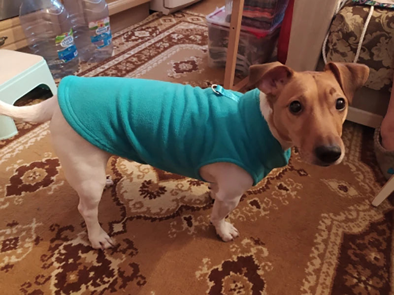 Warm Fleece Dog Jacket with D-Ring