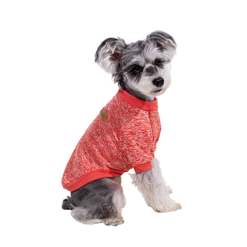 Winter Dog Jacket