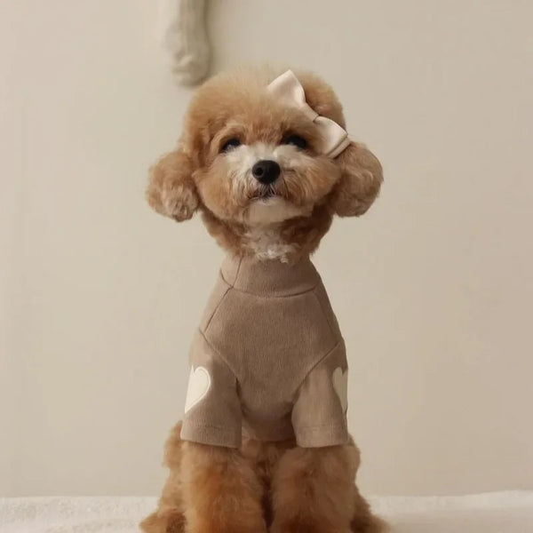 Love Bear Winter Hoodie for Pets