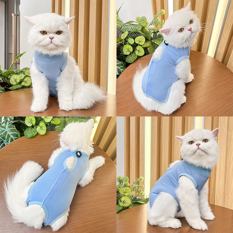 Pet Surgery Recovery Suit
