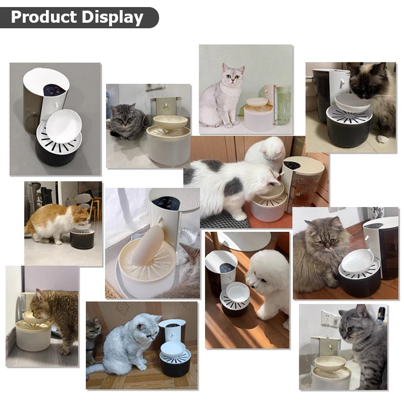 Smart Automatic Pet Water Fountain