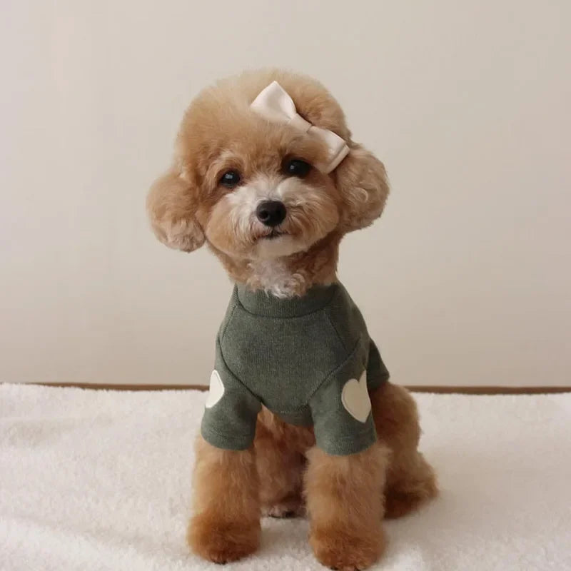 Love Bear Winter Hoodie for Pets
