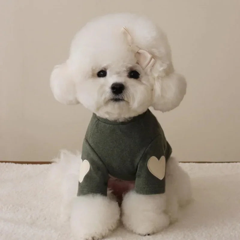 Love Bear Winter Hoodie for Pets