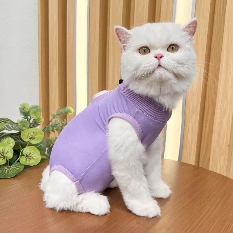 Pet Surgery Recovery Suit