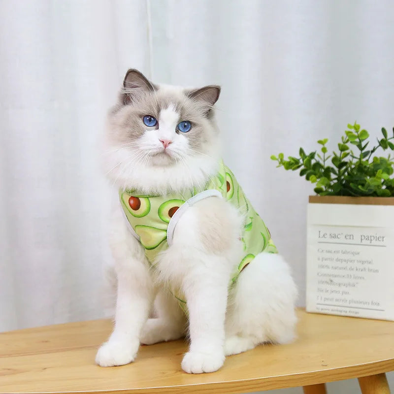 Cat & Dog Surgery Recovery Suit – Anti-Licking Sterilization Clothes