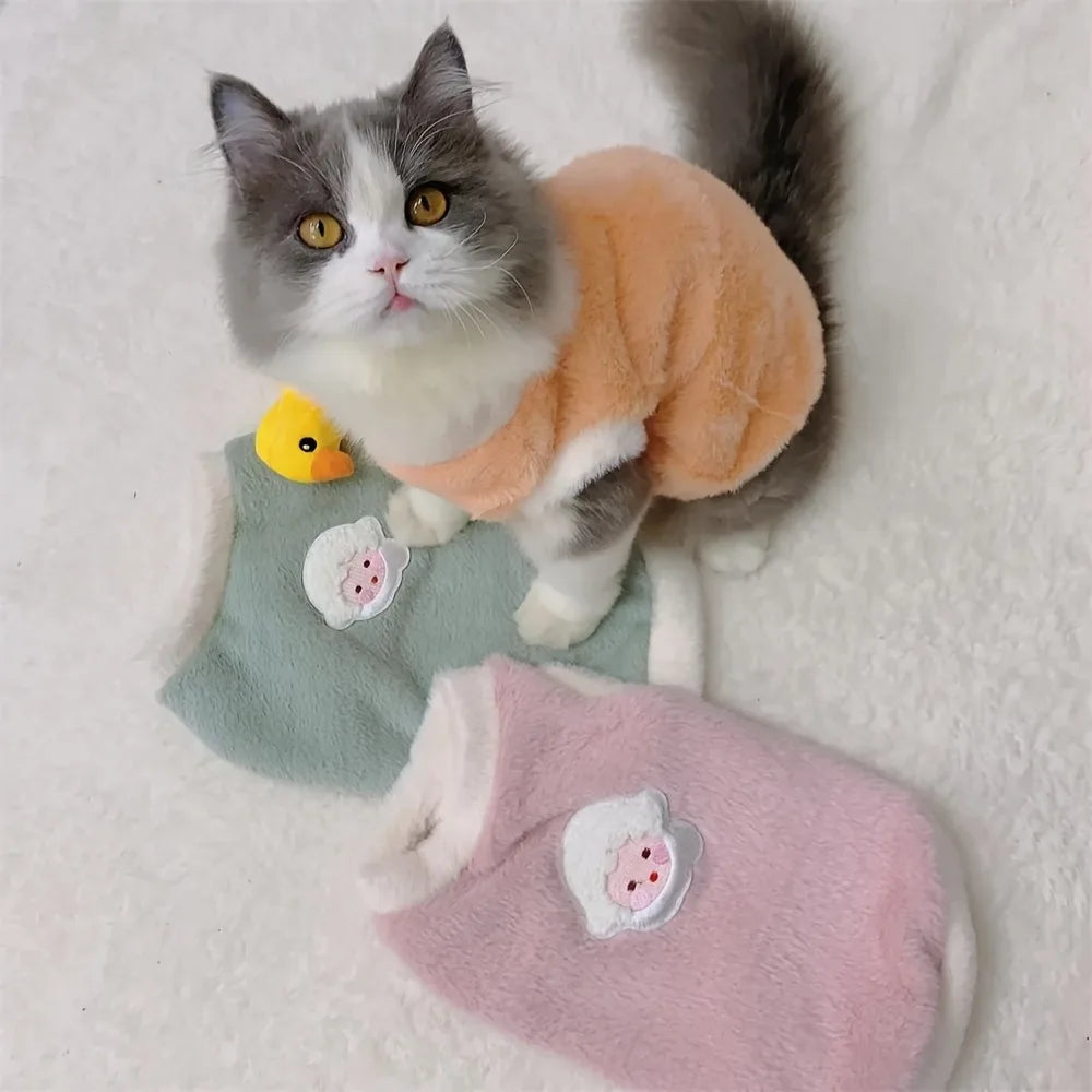 Winter Kitten Clothes