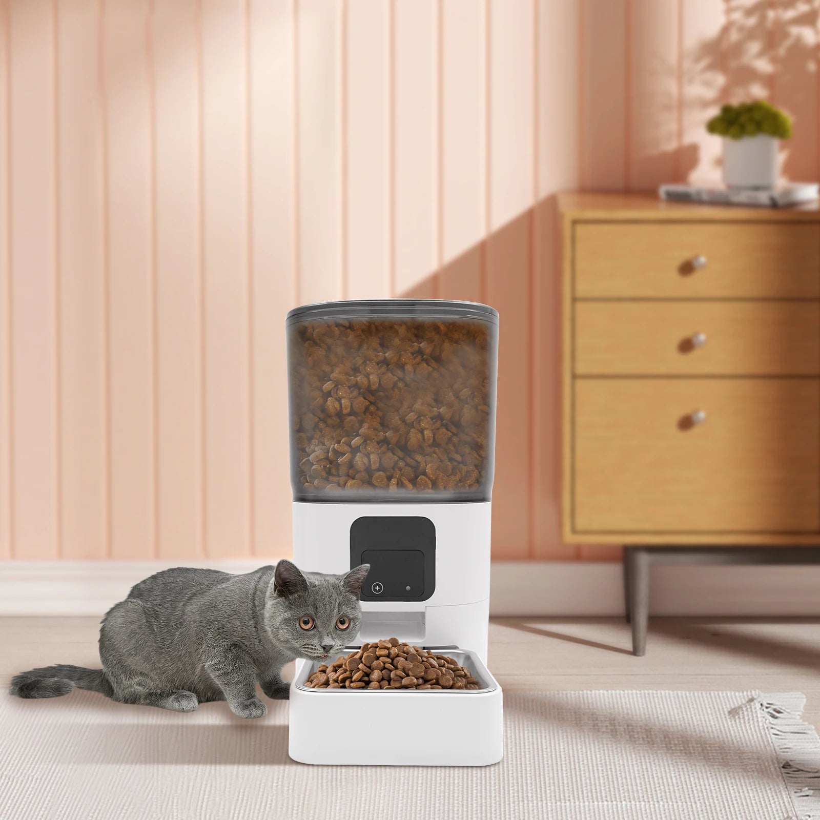 6L Smart Automatic Pet Feeder