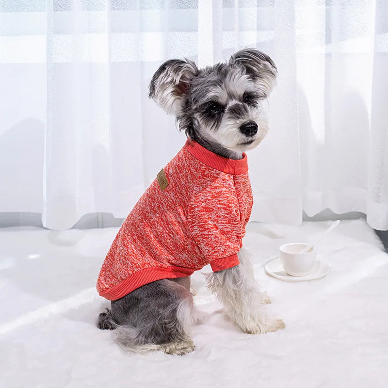 Winter Dog Jacket