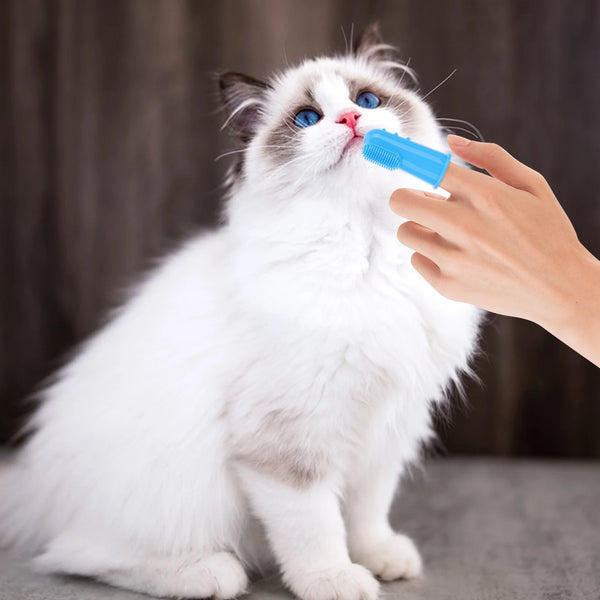 6PCS Pet Grooming Kit