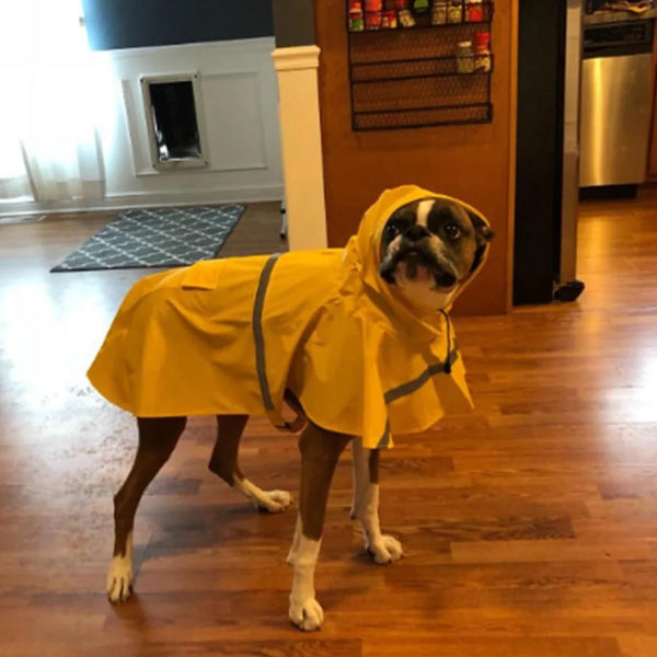 Dog Hooded Raincoat